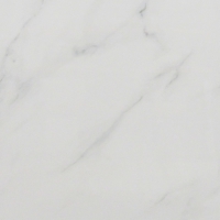 Carrara Glans 60 x 60
