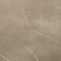 Energieker Pietra Taupe 60 x 60