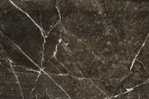 Nero Stone Glans 60 x 120