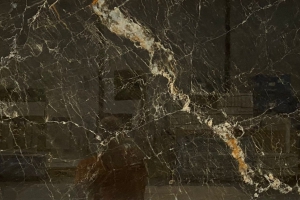 Marquina Oro Glans 60 x 120