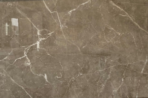 Carrara Taupe Glans 60 x 120