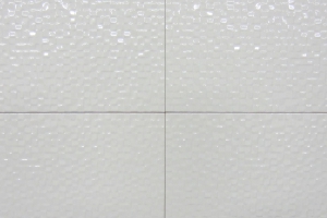 Mozaiek White 25 x 50