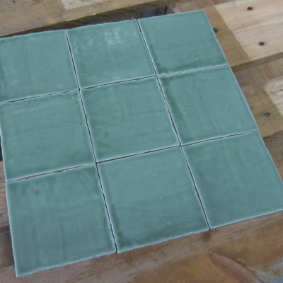 Witjes Appel Groen Glans 13 x 13